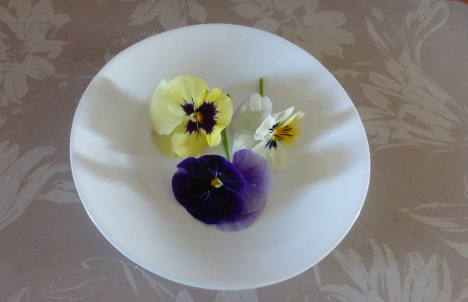 Kwiaty na talerzu